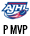 1-time AJHL Playoff MVP