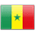 Senegal flag
