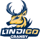 Cégep de Granby L'Indigo