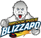 Brookings Blizzard