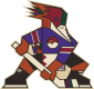 Tucson Roadrunners
