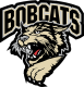 Bismarck Bobcats