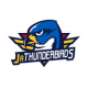 Springfield Jr. Thunderbirds 13U AAA