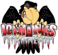 Port Huron Icehawks
