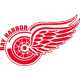 Bay Harbor Red Wings 16U AA