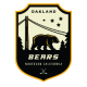 Oakland Bears 16U AA