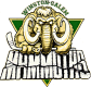 Winston-Salem Mammoths