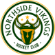 Northside Vikings U15 AA