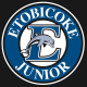 Etobicoke Dolphins