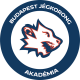 Budapest Jégkorong Akadémia U18