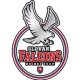 Slovak Falcons U12