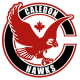 Caledon Hawks U16 AA