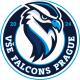 VSE Falcons Prague