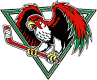 Fresno Falcons