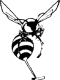 Syracuse Hornets