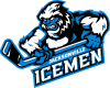 Jacksonville Icemen