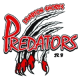 Lambton Shores Predators U18 B