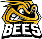 Bracknell Bees