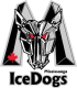 Mississauga IceDogs