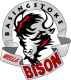 Basingstoke Bison