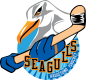 Haugesund Seagulls