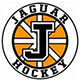 Joliet Jaguars 14U AA