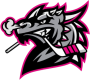 HC Draci Bílina