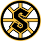 Grandview Steelers