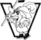 Virginia Raiders