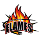 Manchester Flames 13U AAA 2