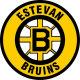 Estevan Bruins