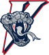 LaSalle Vipers