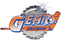 Saginaw Gears