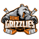 Rome Grizzlies 19U AA