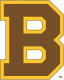 Boston Bruins