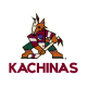 Arizona Kachinas 16U AA 2