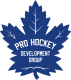 Pro Hockey Team Ontario