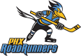Phoenix Roadrunners
