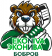 HK Bobrov