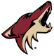Arizona Coyotes