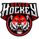DevCo Hockey U16