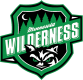 Minnesota Wilderness