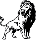 Washington Lions