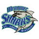 Meramec Sharks 16U A