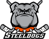 Sheffield Steeldogs