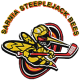 Sarnia Steeplejack-Bees