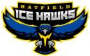 Hatfield Ice Hawks 14U B