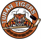 Turan Tigers
