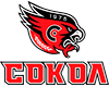 Sokol Novocheboksarsk