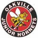 Oakville Ice